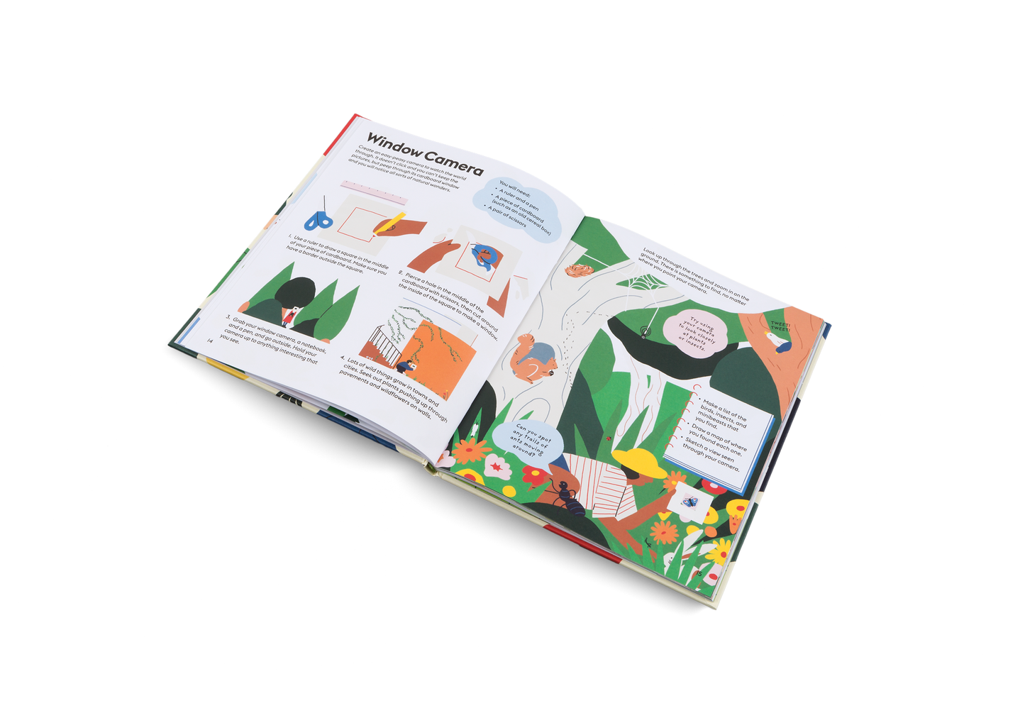 Let’s Play Outdoors! Book