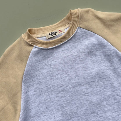 Raglan Sleeve Kids Sweatshirt