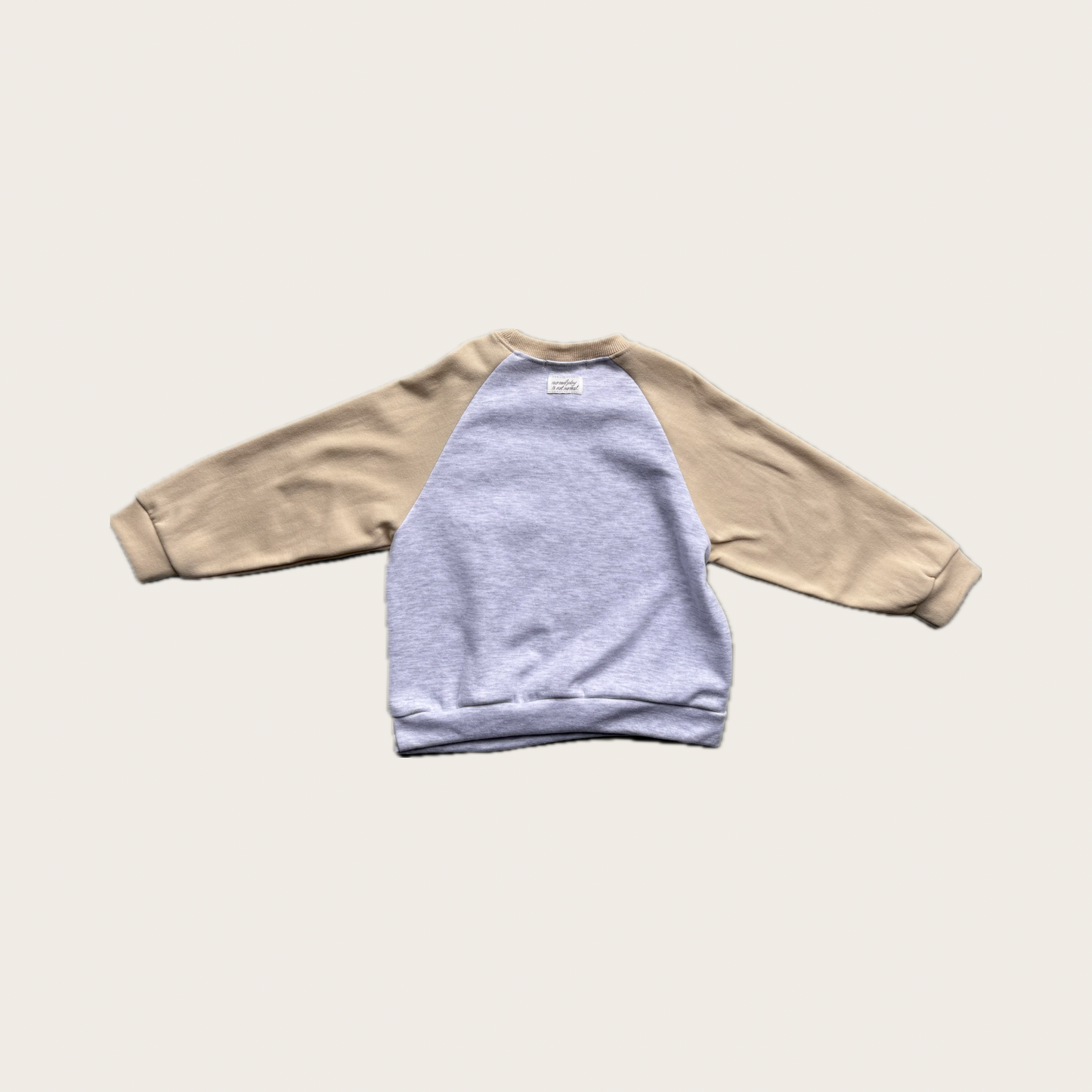 Raglan Sleeve Kids Sweatshirt