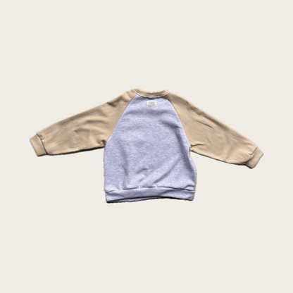 Raglan Sleeve Kids Sweatshirt