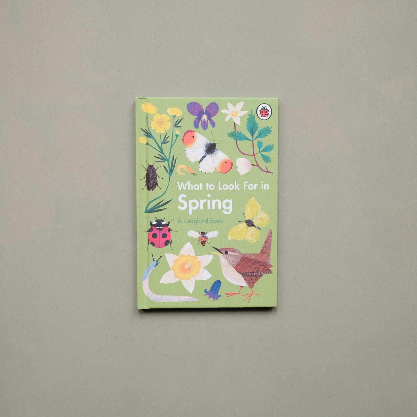 What to Look for in Spring Book