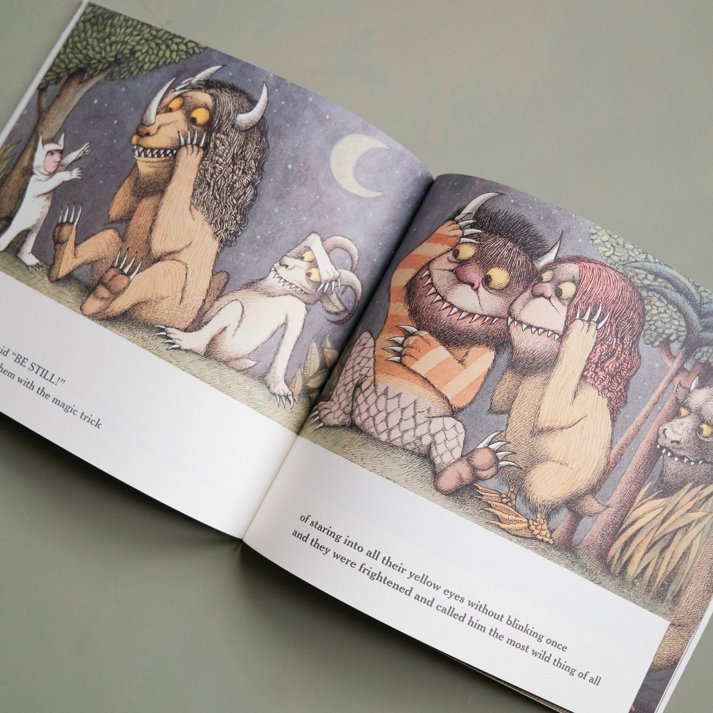 Where The Wild Things Are Book