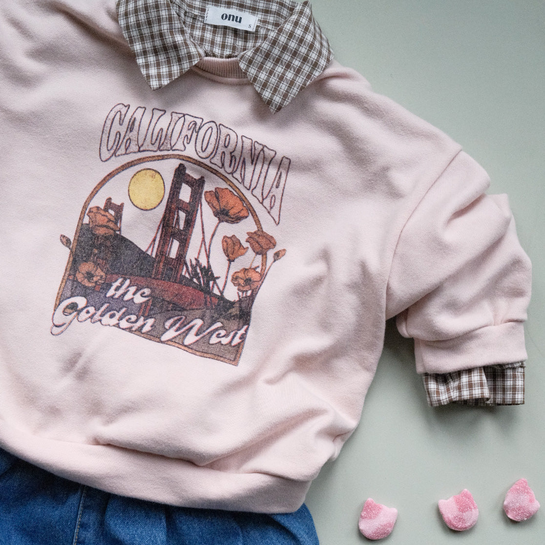 Pink sweatshirt with 'California, THE GOLDEN WEST' graphic design, brown check shirt and blue jeans