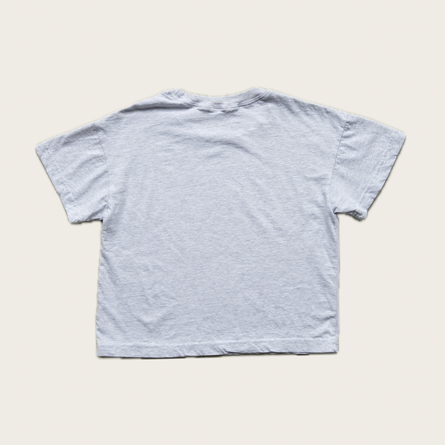 Friendliest Traffic Jam Ever T Shirt