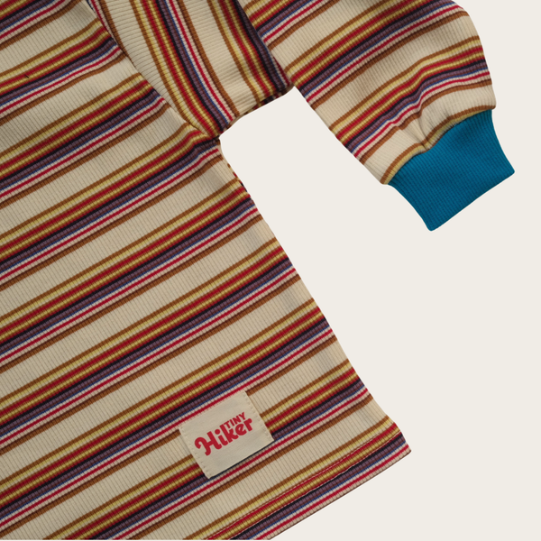 Vintage Stripe Long Sleeve T-Shirt