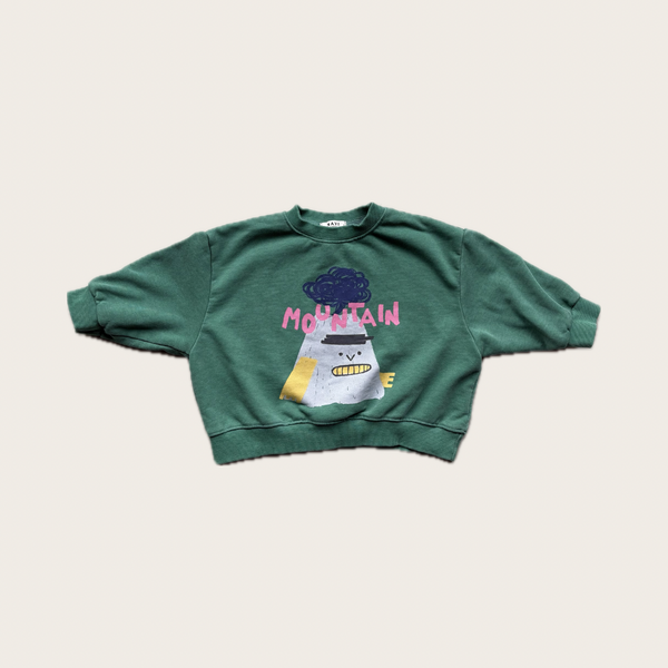 Mountain Kids Sweatshirt