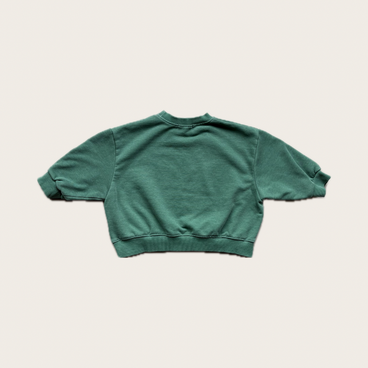 Mountain Kids Sweatshirt