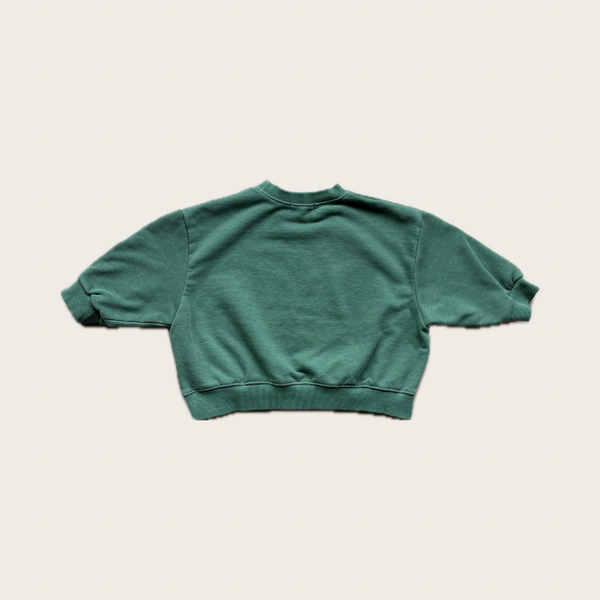 Mountain Kids Sweatshirt