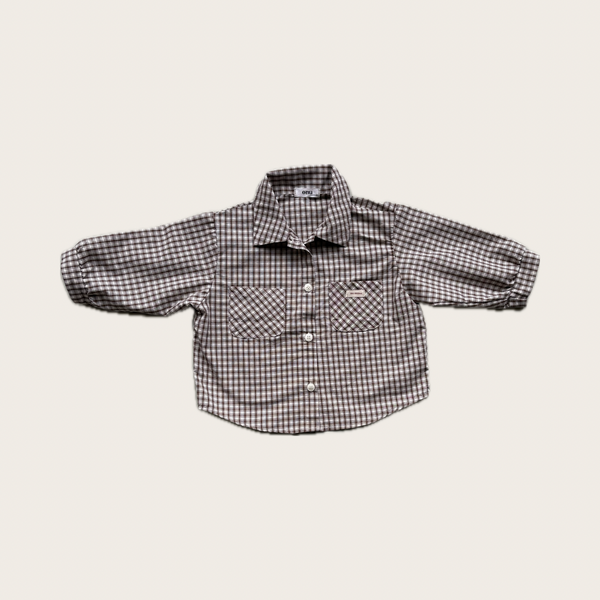 Brown Check Shirt