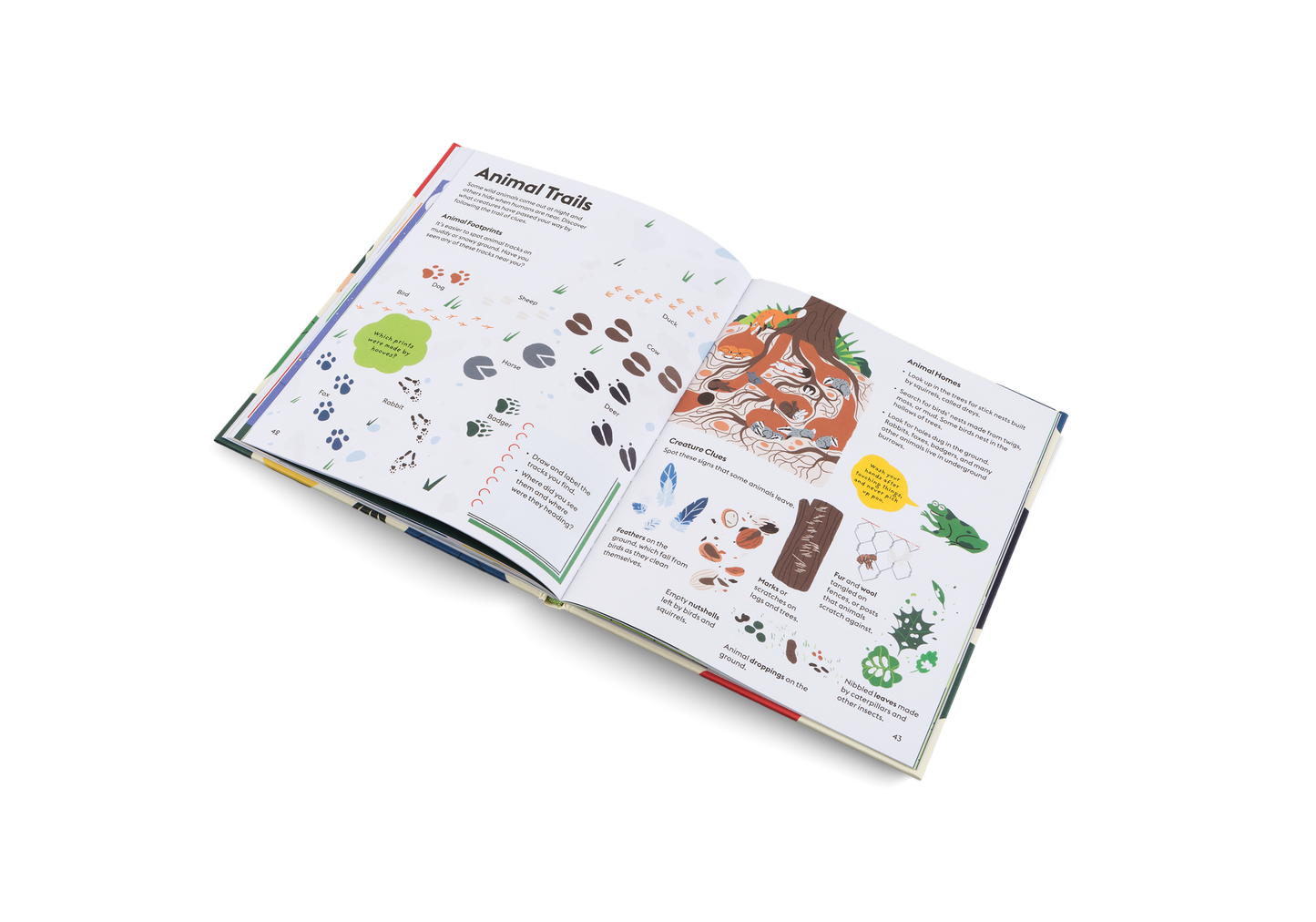 Open pages of Let’s Play Outdoors picture book showing illustrated scenes for kids