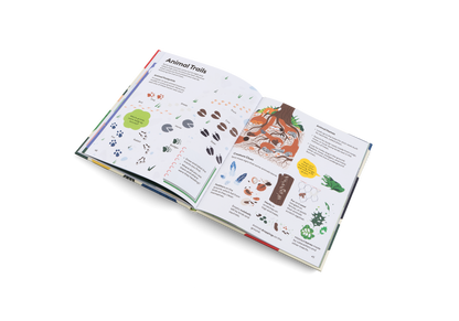 Open pages of Let’s Play Outdoors picture book showing illustrated scenes for kids