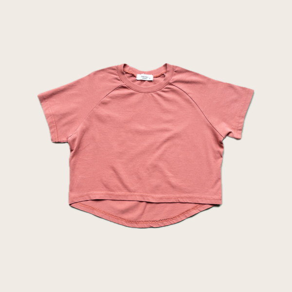 Dusty Red Raglan T-shirt