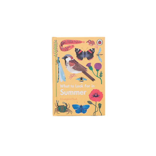 What to Look for in Summer Book